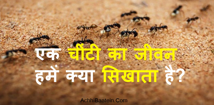 चींटिया कभी रुकती नहीं आप उसका रास्ता रोकेंगे तो वे अपना दुसरा रास्ता बना लेंगी।