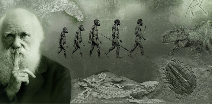 Charles darwin evolution & discoveries